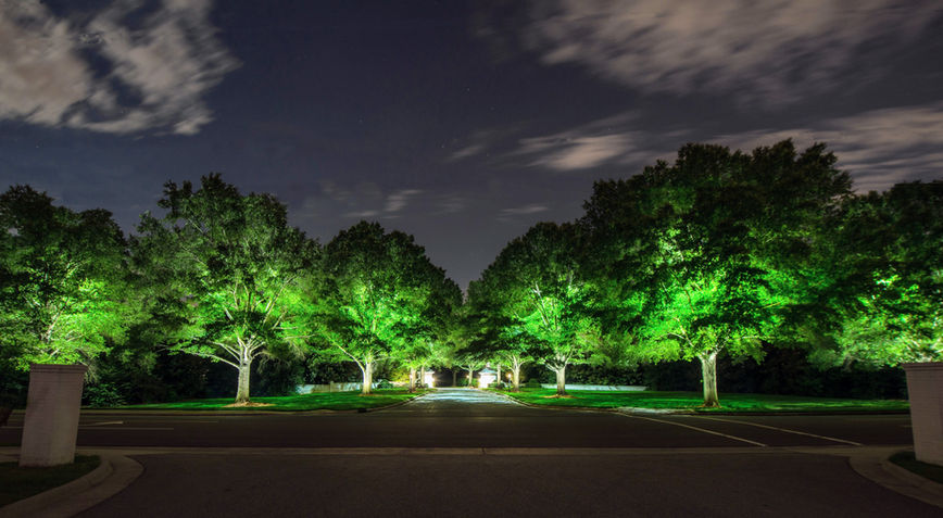 A tree-lined driveway at night, with bright green lights illuminating the trees on both sides, under a cloudy sky.