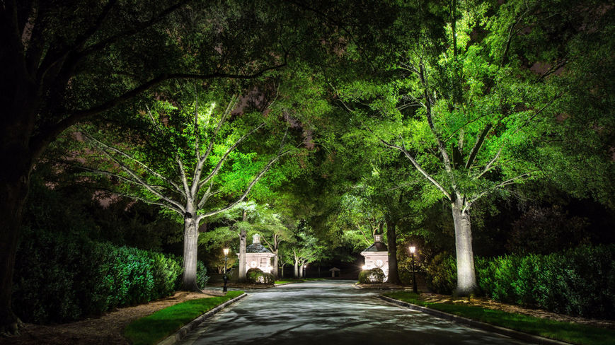 A tree-lined driveway at night is brightly illuminated by lights, leading to two small gatehouses on either side of the entrance.